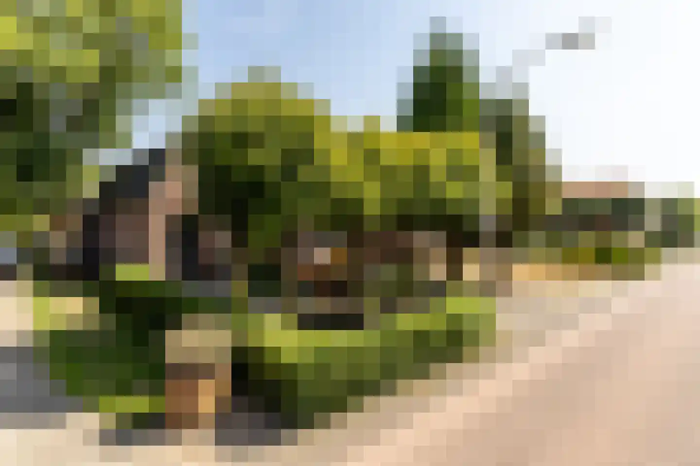 Meester Prinsenstraat 20 Haarsteeg thumbnail 52
