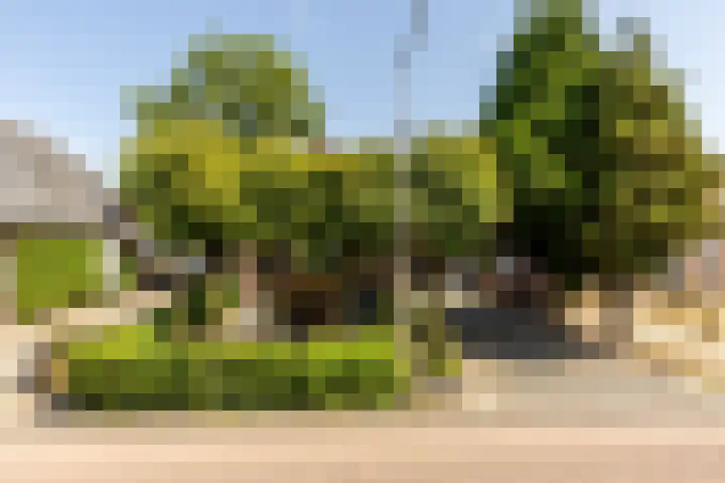 Meester Prinsenstraat 20 Haarsteeg thumbnail 53
