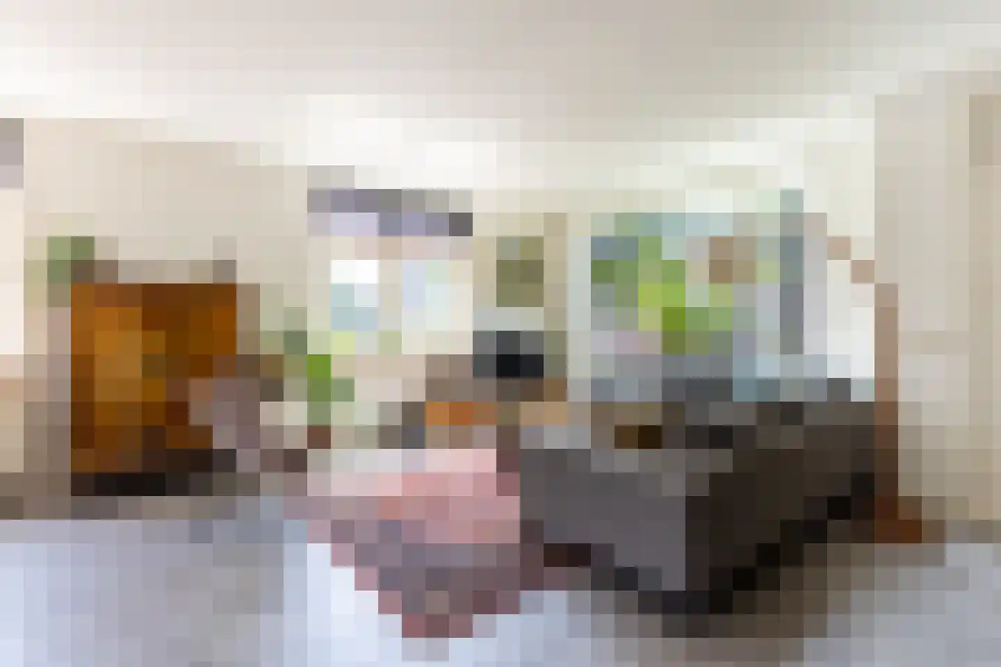 Meester Prinsenstraat 20 Haarsteeg thumbnail 7
