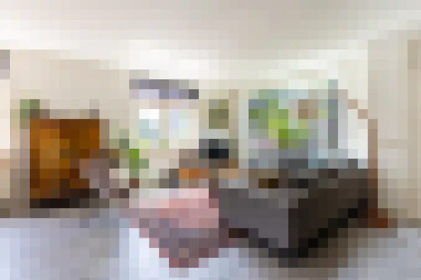 Meester Prinsenstraat 20 Haarsteeg thumbnail 7