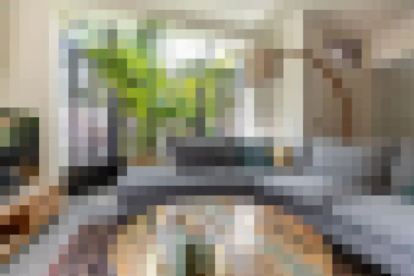 Meester Prinsenstraat 20 Haarsteeg thumbnail 8