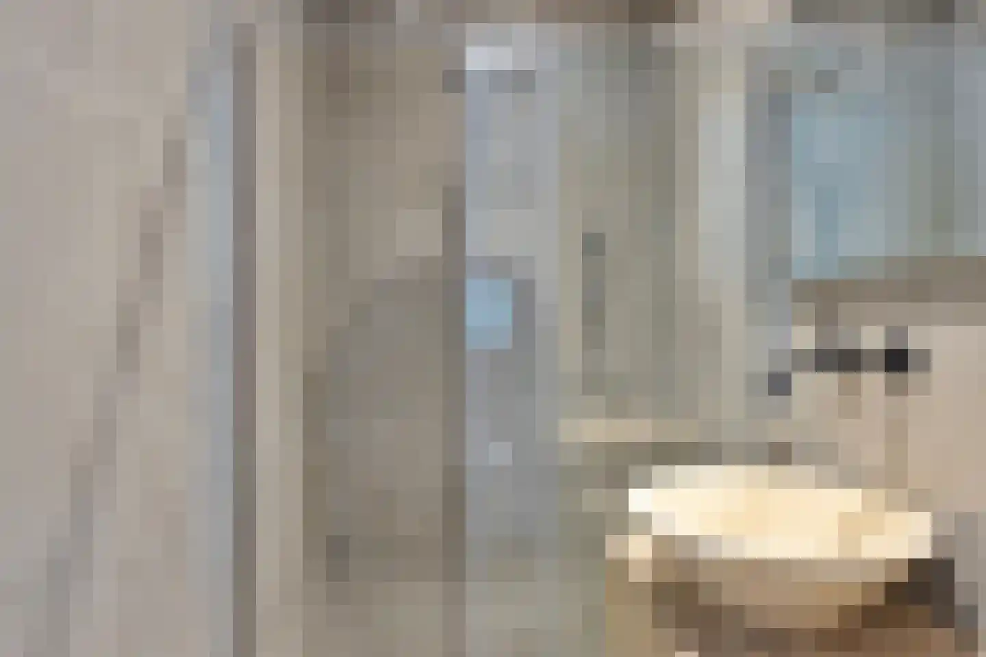 Meester Prinsenstraat 9 Haarsteeg thumbnail 21