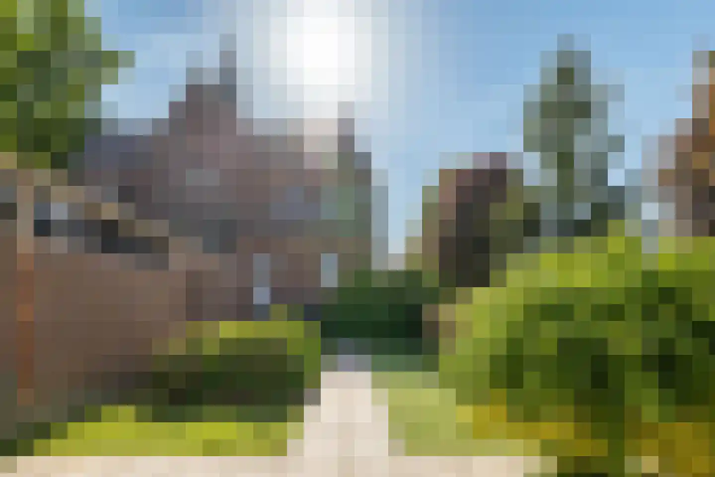 Meester Prinsenstraat 9 Haarsteeg thumbnail 23