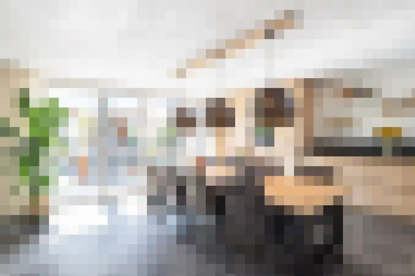 Meester Reijntjesstraat 12 Zevenhuizen thumbnail 15