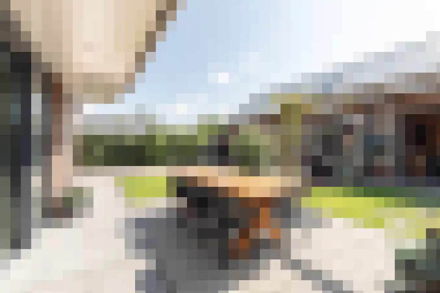 Meester Reijntjesstraat 12 Zevenhuizen thumbnail 19