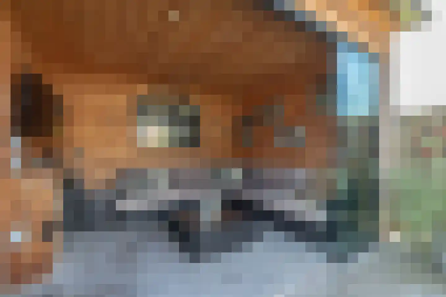 Meester Reijntjesstraat 12 Zevenhuizen thumbnail 20