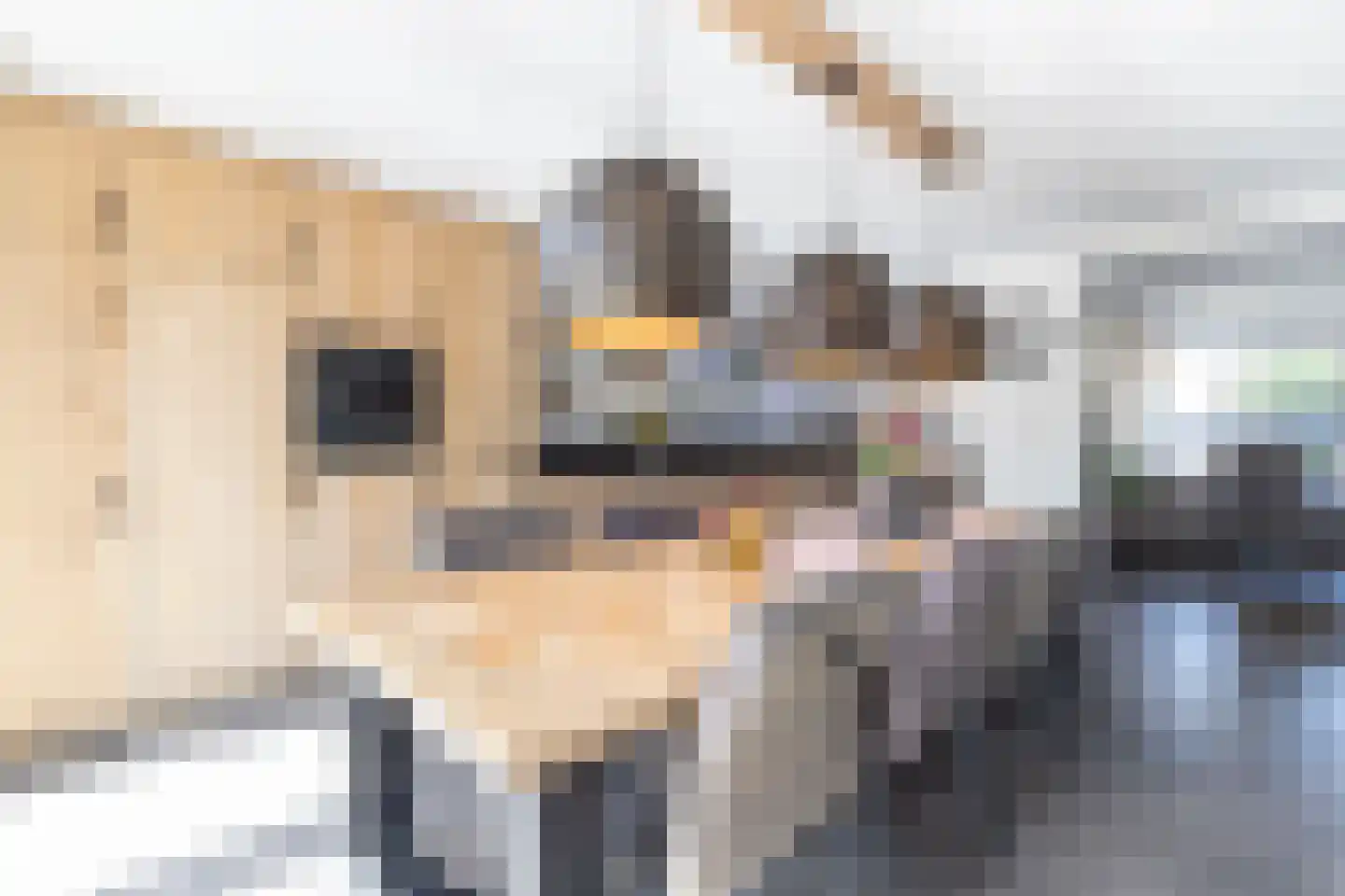 Meester Reijntjesstraat 12 Zevenhuizen thumbnail 28