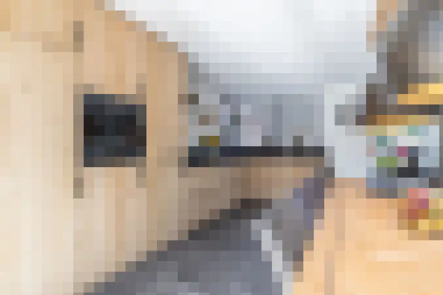 Meester Reijntjesstraat 12 Zevenhuizen thumbnail 29