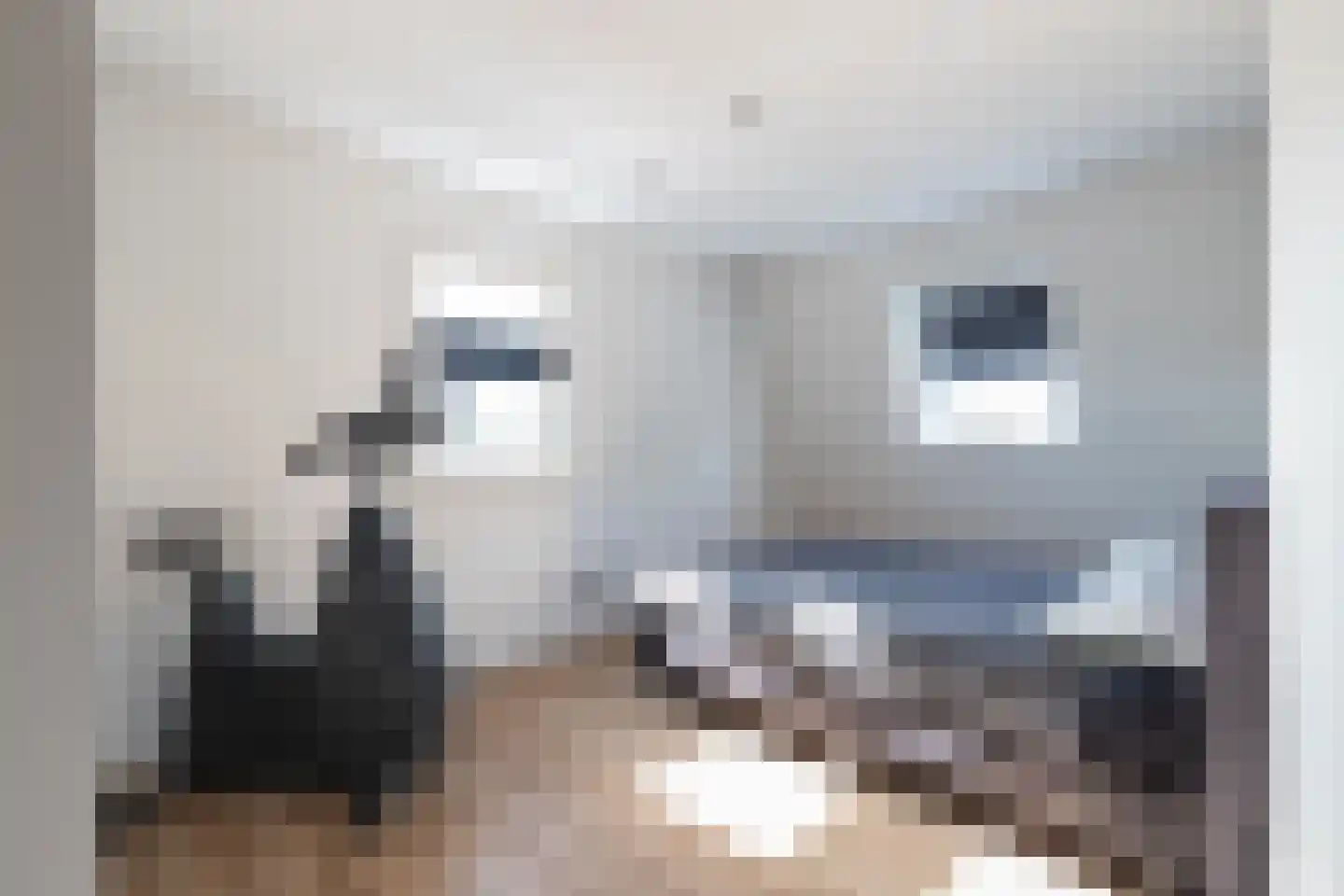 Meester Reijntjesstraat 12 Zevenhuizen thumbnail 40