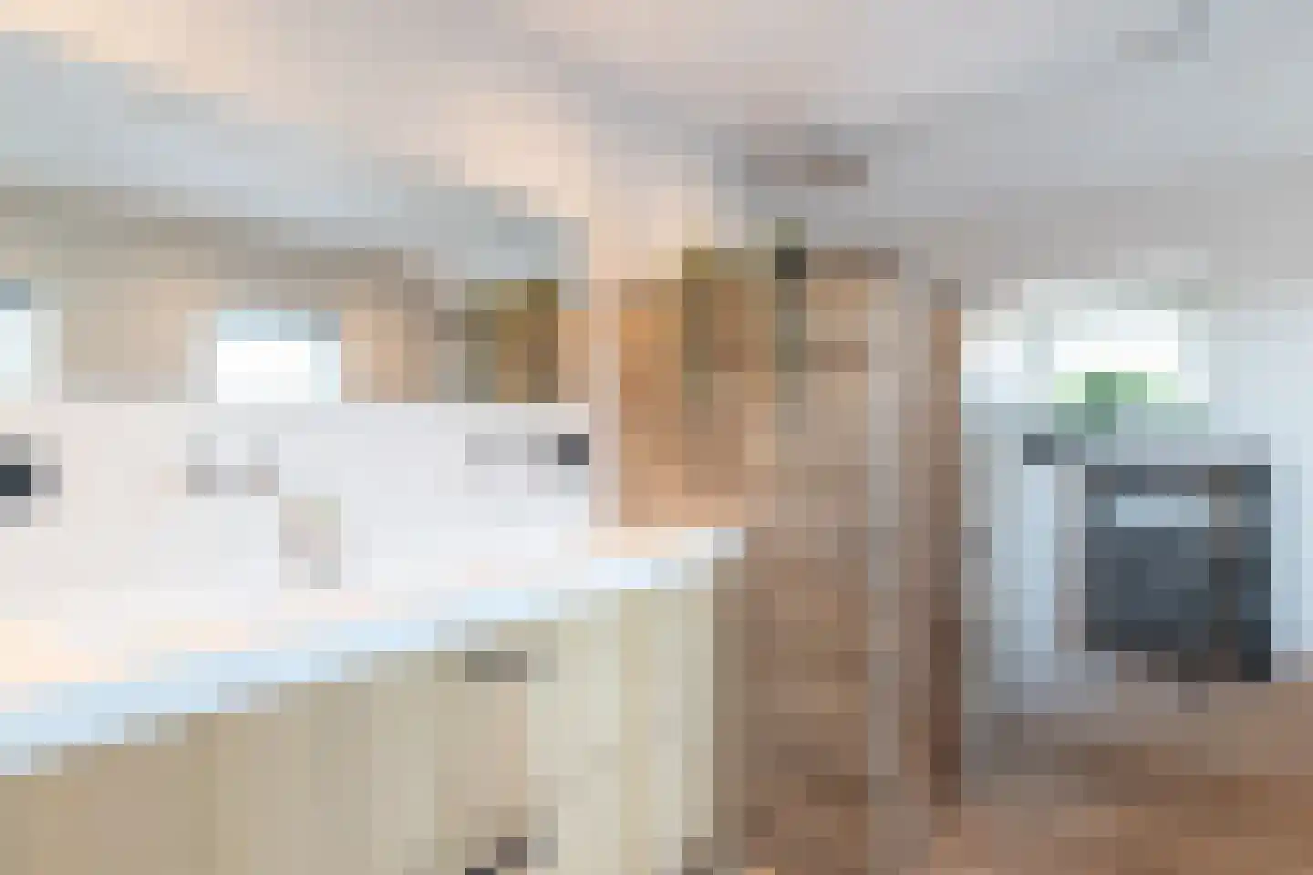 Meester Reijntjesstraat 12 Zevenhuizen thumbnail 47