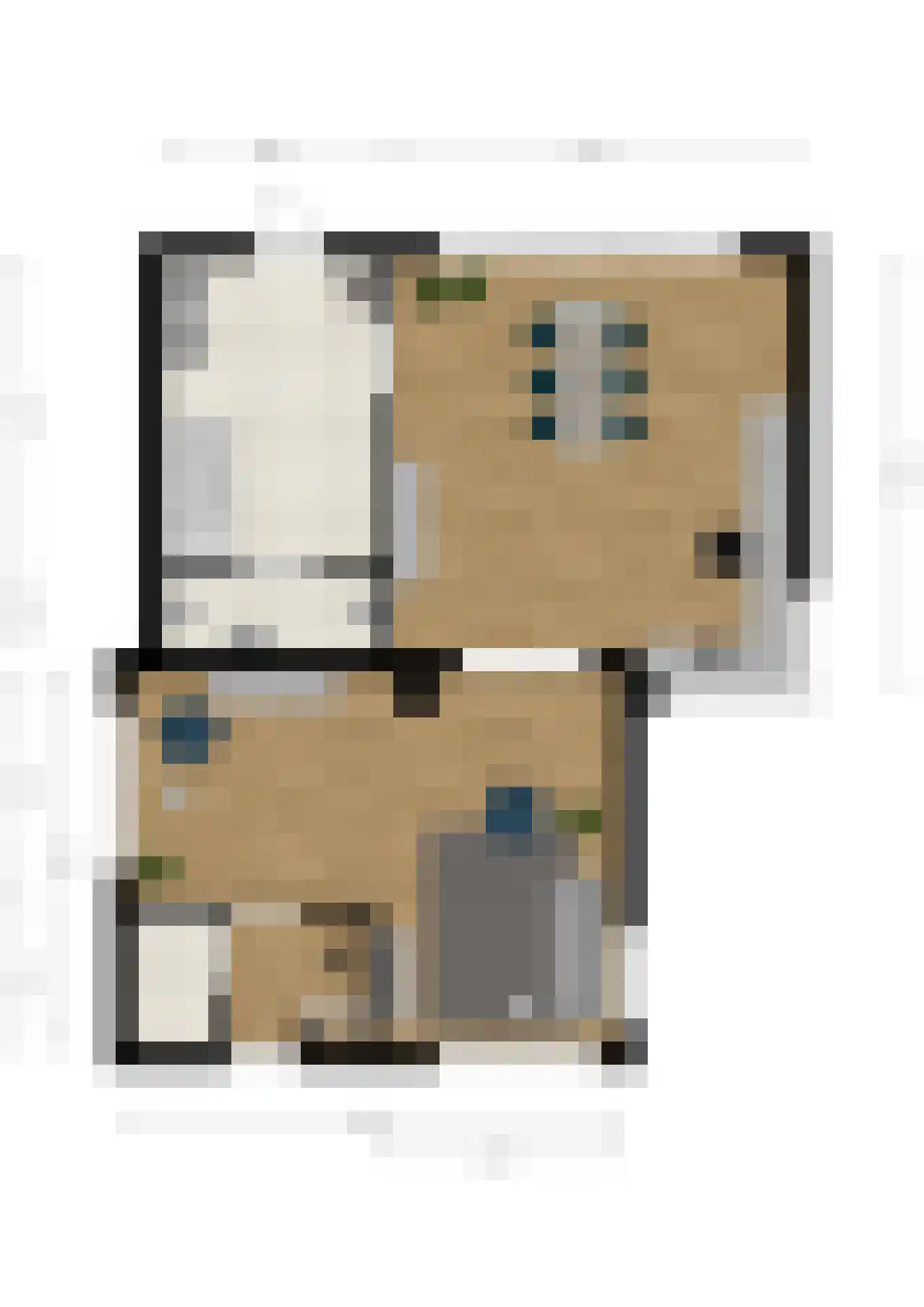 Meester Reijntjesstraat 12 Zevenhuizen thumbnail 55