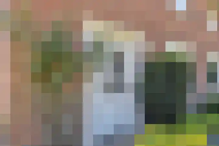 Meester Rijkenstraat 25 Veldhoven thumbnail 4