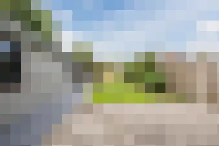 Meester Rijkenstraat 32 Veldhoven thumbnail 33