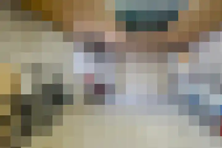 Meester Rijkenstraat 32 Veldhoven thumbnail 35