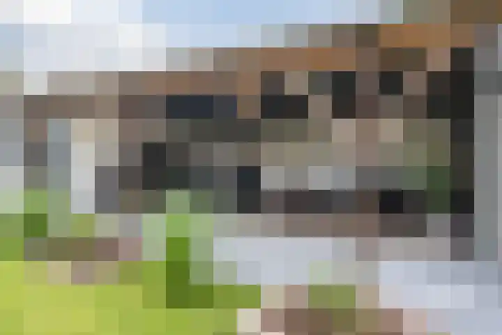 Meester Rijkenstraat 32 Veldhoven thumbnail 38