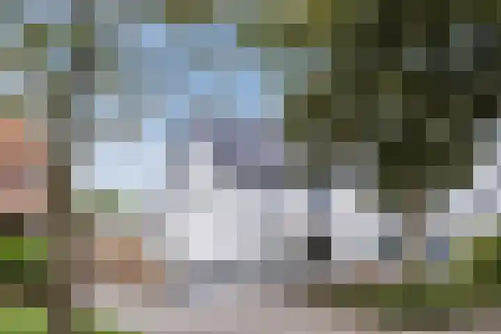 Meester Rijkenstraat 32 Veldhoven thumbnail 4