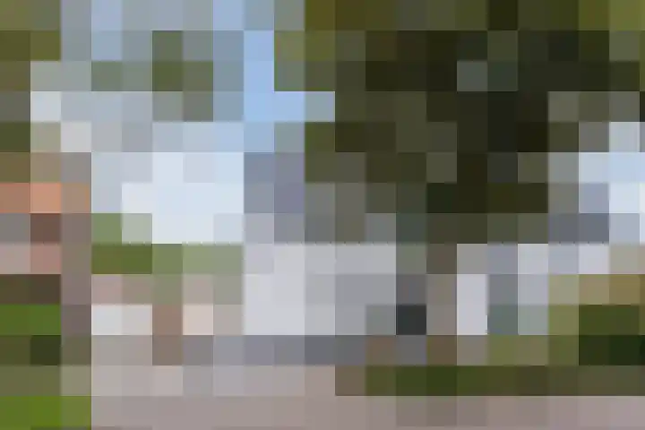 Meester Rijkenstraat 32 Veldhoven thumbnail 42