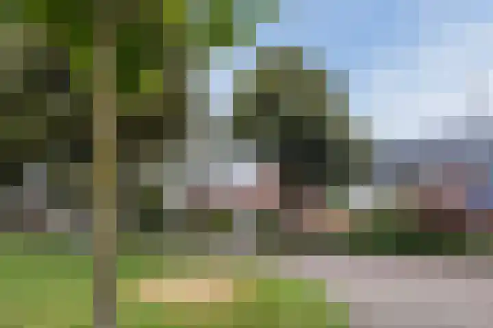 Meester Rijkenstraat 32 Veldhoven thumbnail 44