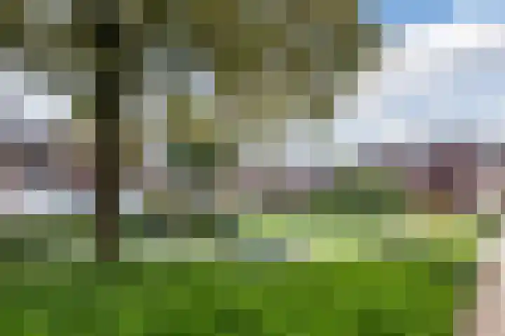 Meester Rijkenstraat 32 Veldhoven thumbnail 45
