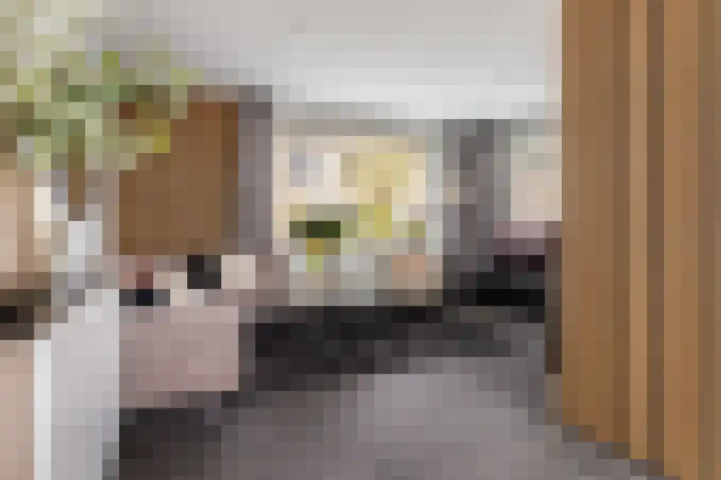 Meester Rijkenstraat 37 Veldhoven thumbnail 13