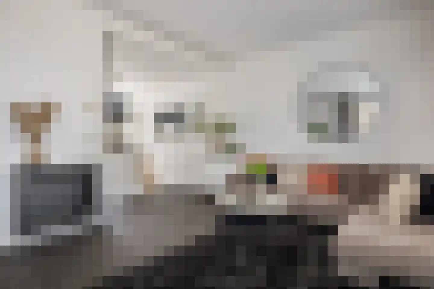 Meester Rijkenstraat 37 Veldhoven thumbnail 15