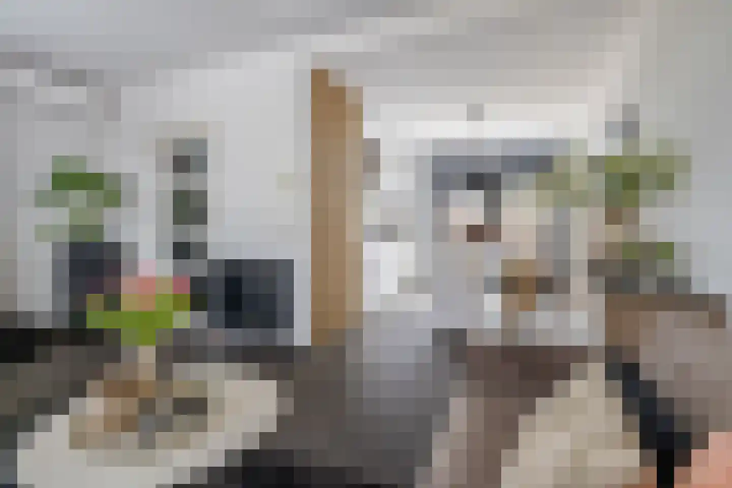 Meester Rijkenstraat 37 Veldhoven thumbnail 16