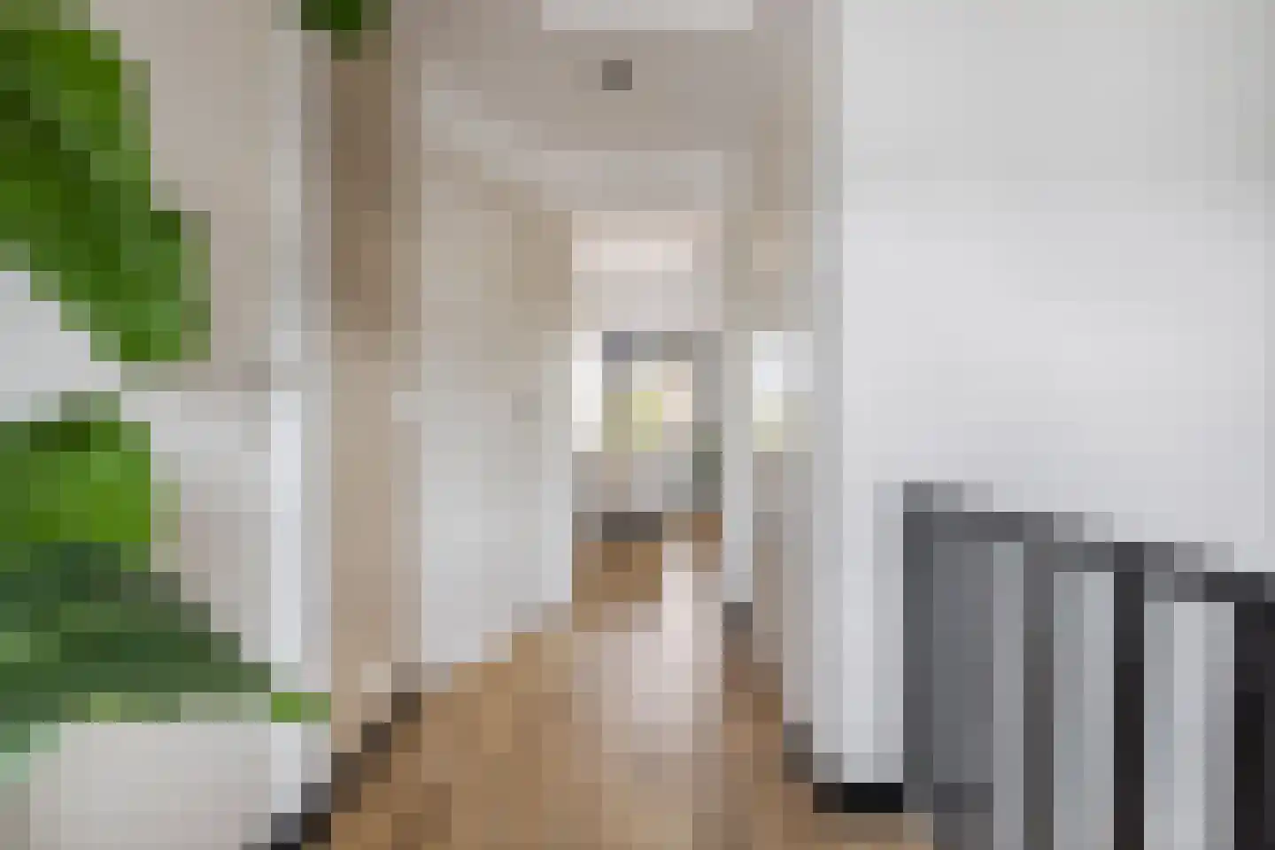 Meester Rijkenstraat 37 Veldhoven thumbnail 28