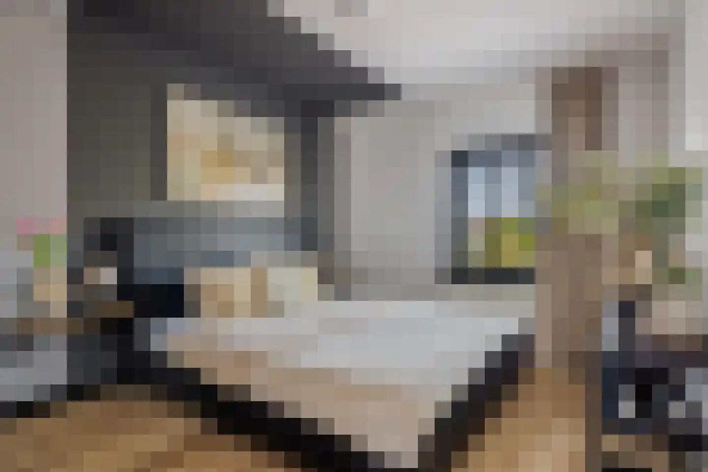 Meester Rijkenstraat 37 Veldhoven thumbnail 31