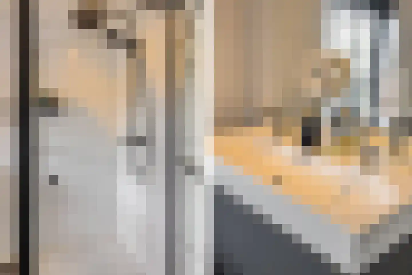 Meester Rijkenstraat 37 Veldhoven thumbnail 38