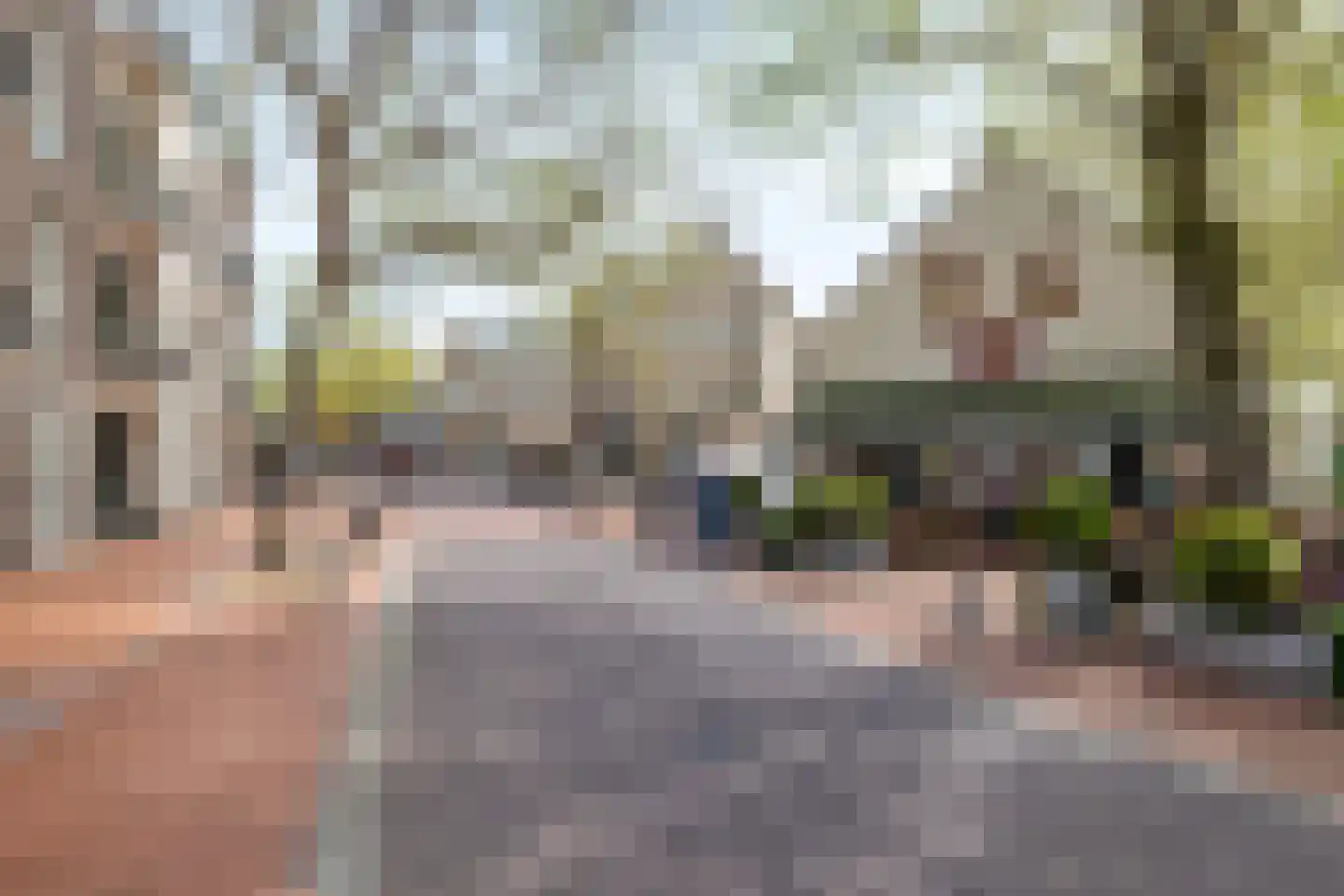 Meester Rijkenstraat 37 Veldhoven thumbnail 44