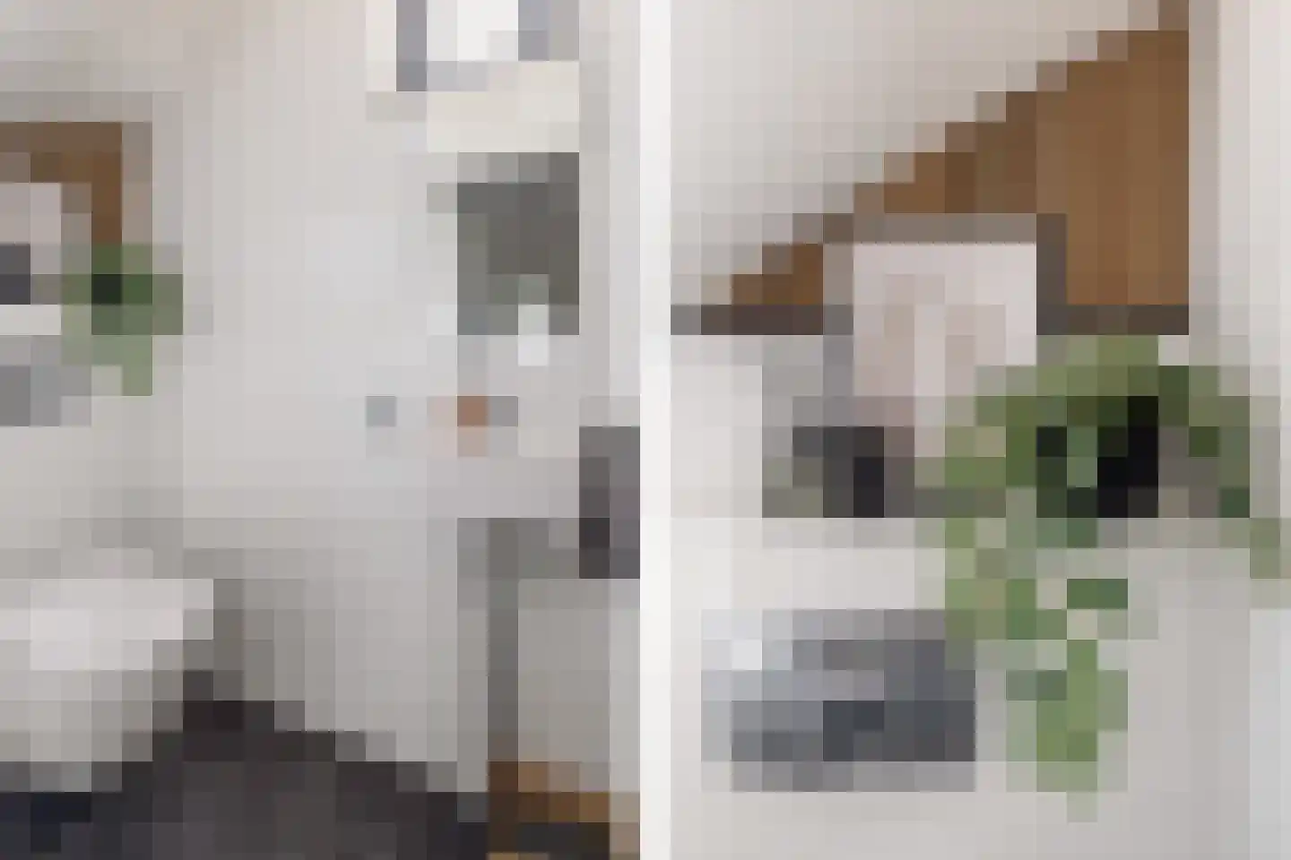 Meester Rijkenstraat 37 Veldhoven thumbnail 9