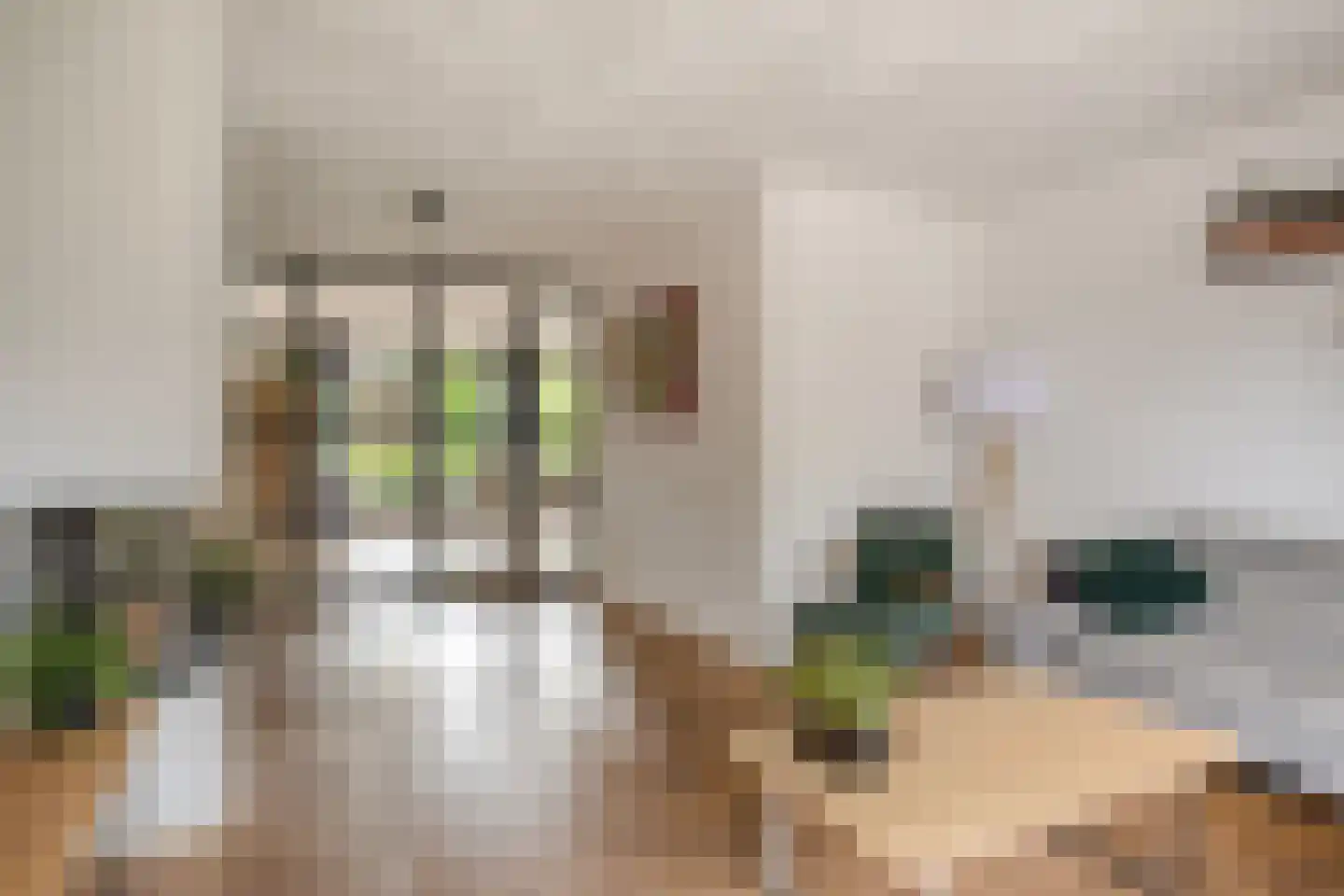 Meester Rijkenstraat 50 Veldhoven thumbnail 16