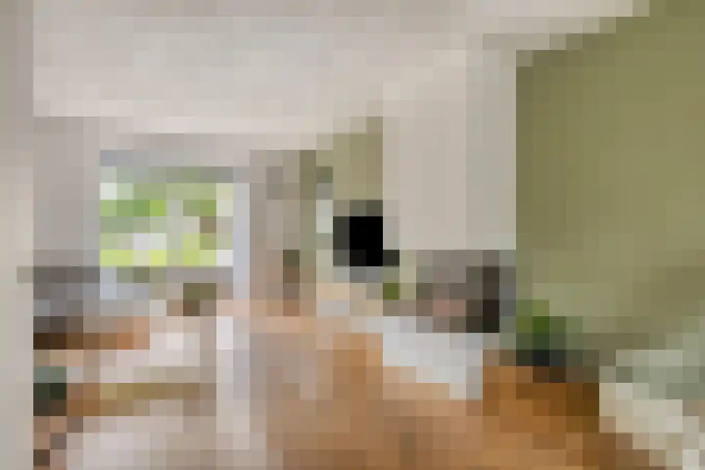 Meester Rijkenstraat 50 Veldhoven thumbnail 18