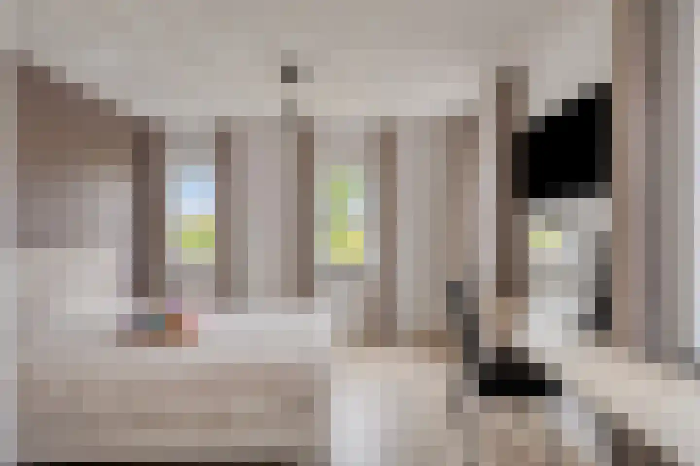 Meester Rijkenstraat 50 Veldhoven thumbnail 33