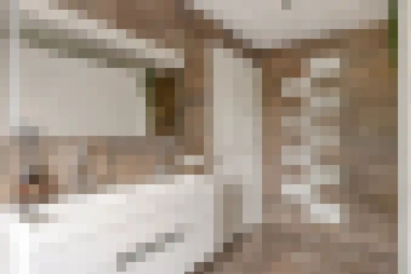 Meester Rijkenstraat 50 Veldhoven thumbnail 39