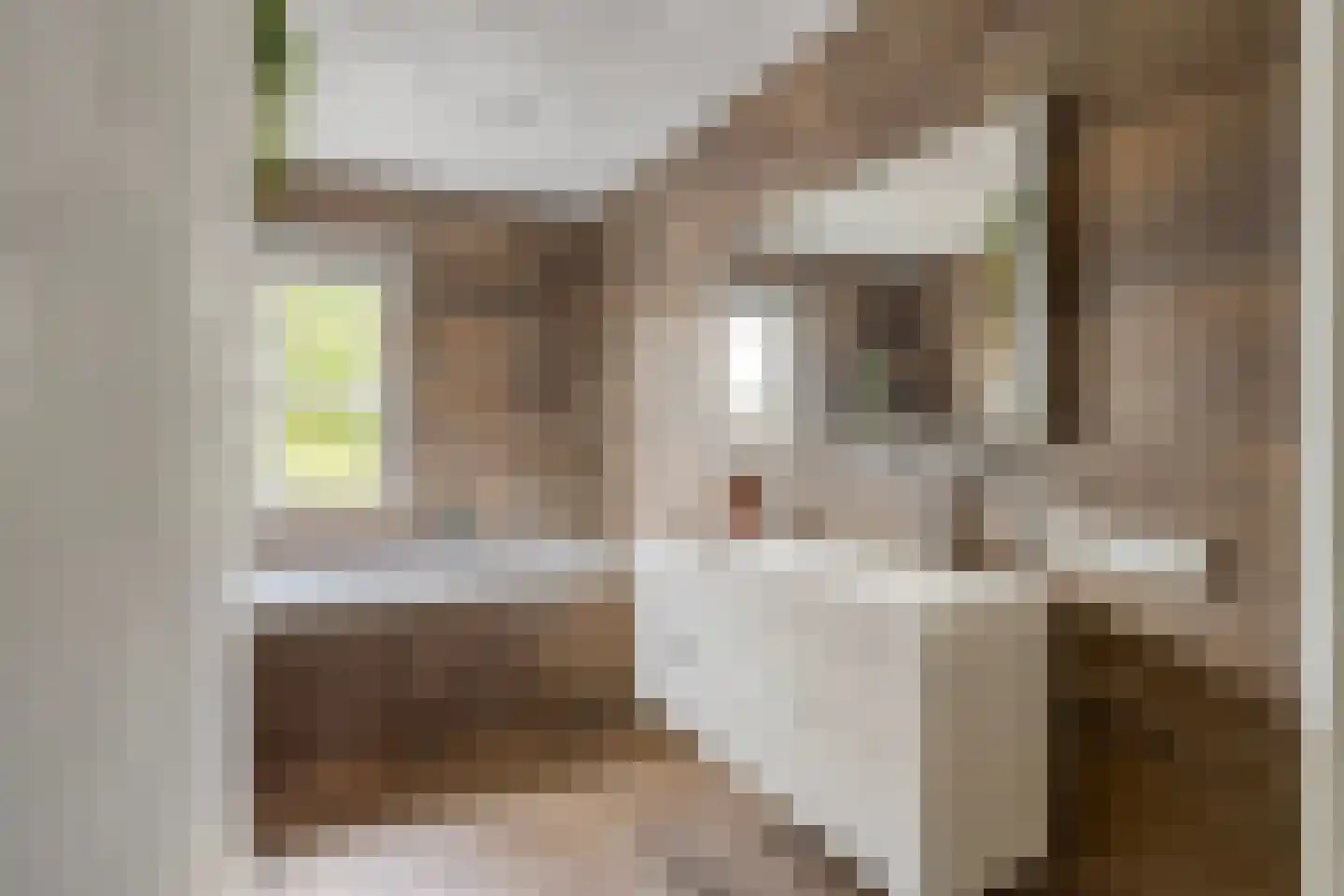 Meester Rijkenstraat 50 Veldhoven thumbnail 4