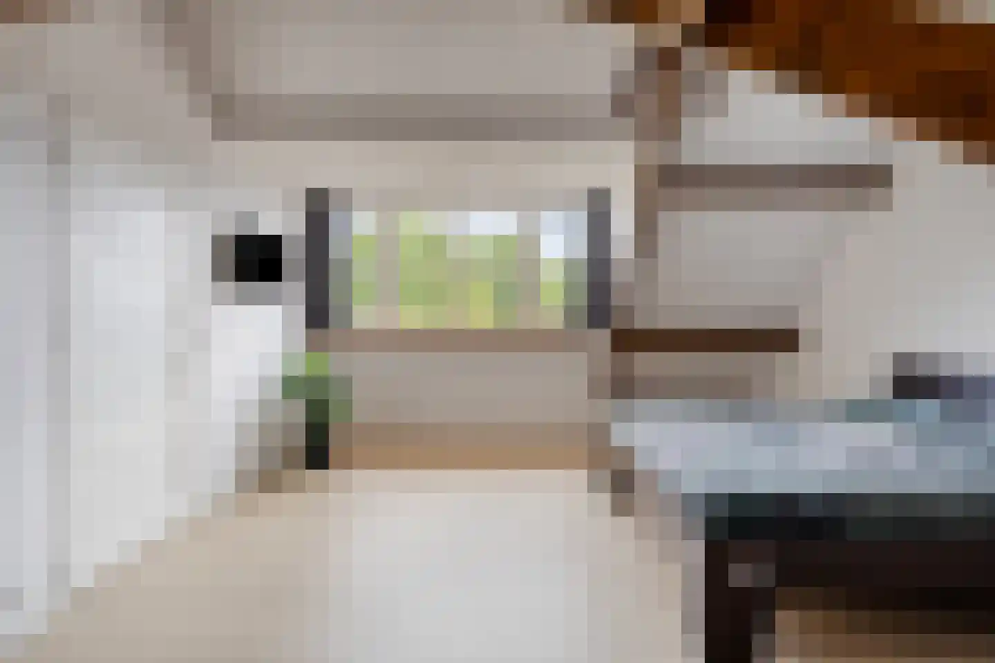 Meester Rijkenstraat 50 Veldhoven thumbnail 44