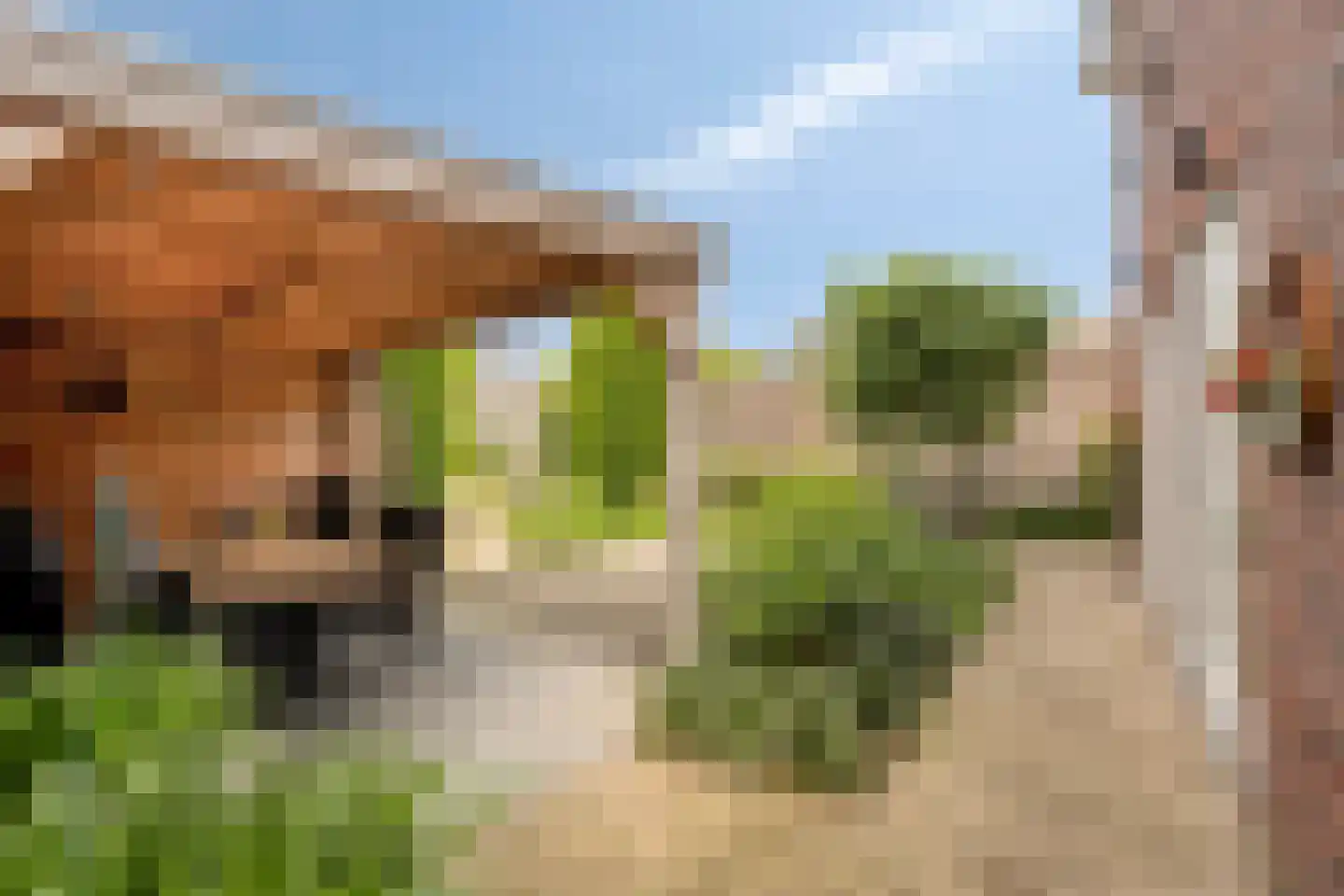 Meester Rijkenstraat 50 Veldhoven thumbnail 49