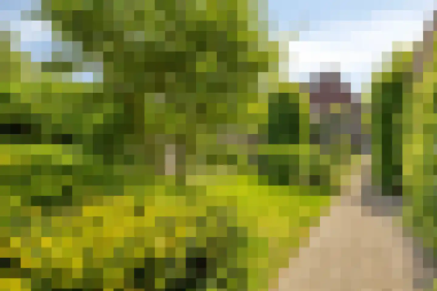 Meester Rijkenstraat 50 Veldhoven thumbnail 54