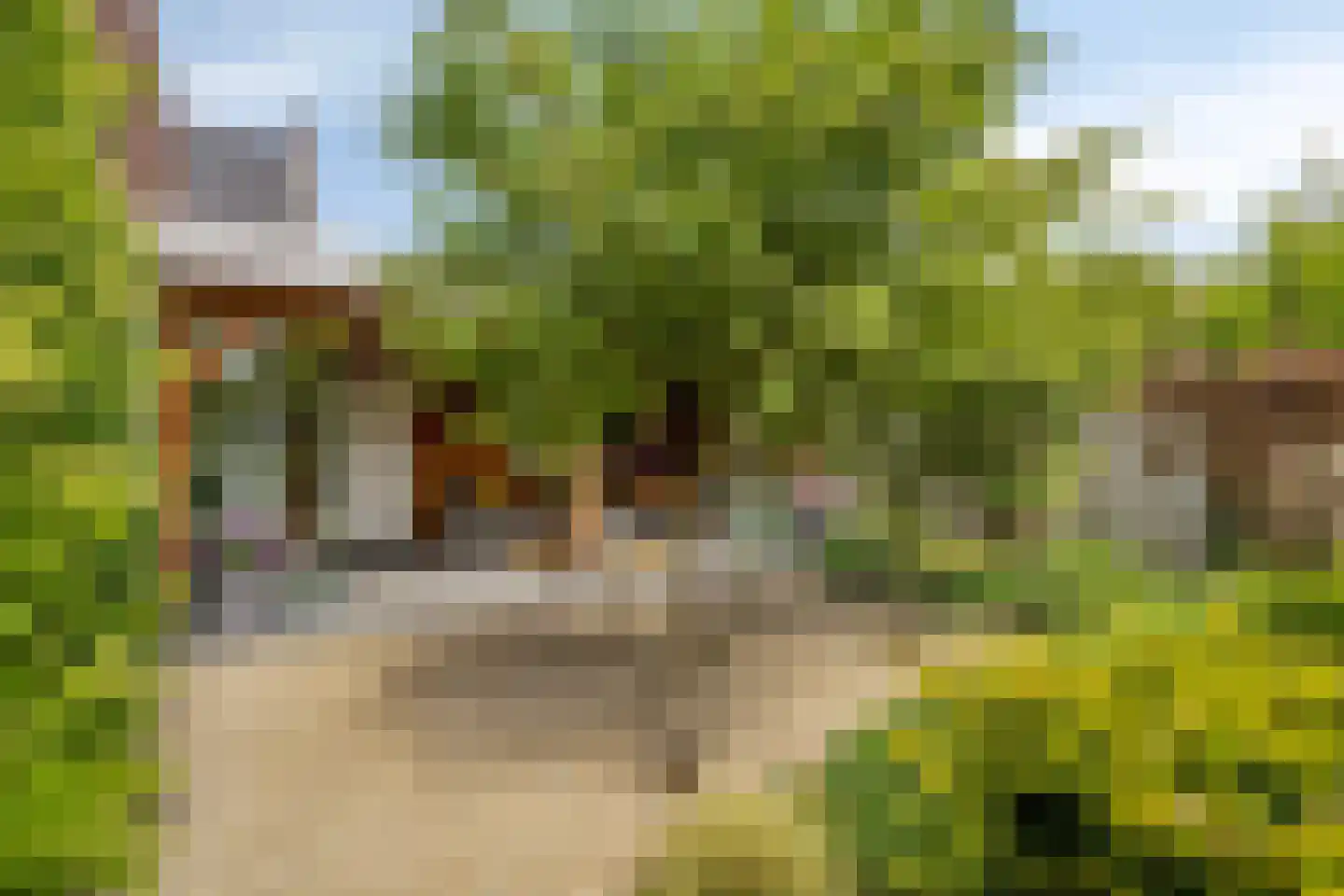 Meester Rijkenstraat 50 Veldhoven thumbnail 61