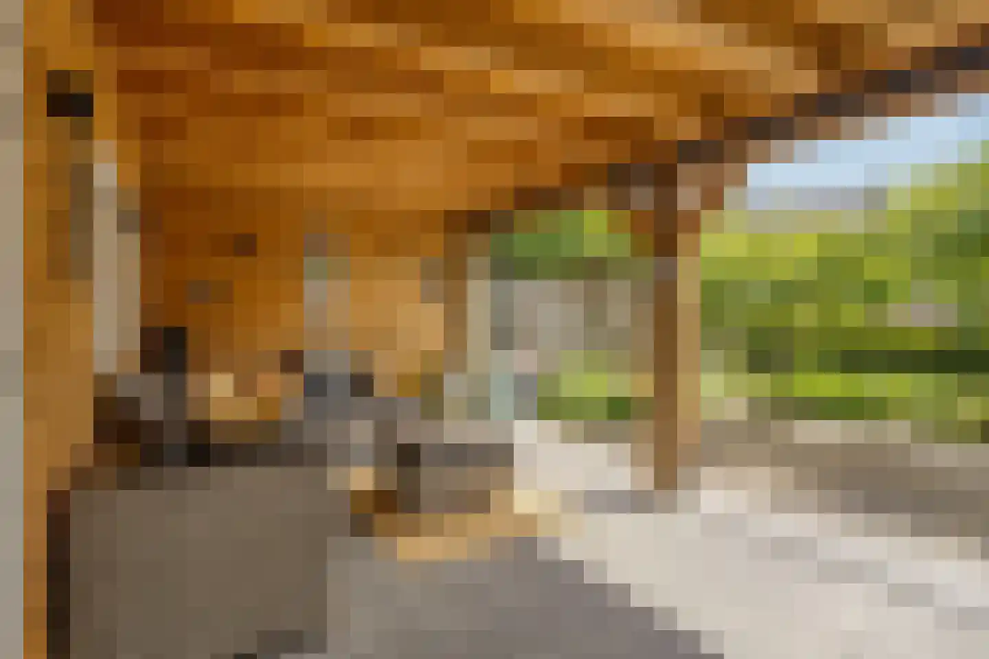Meester Rijkenstraat 50 Veldhoven thumbnail 63
