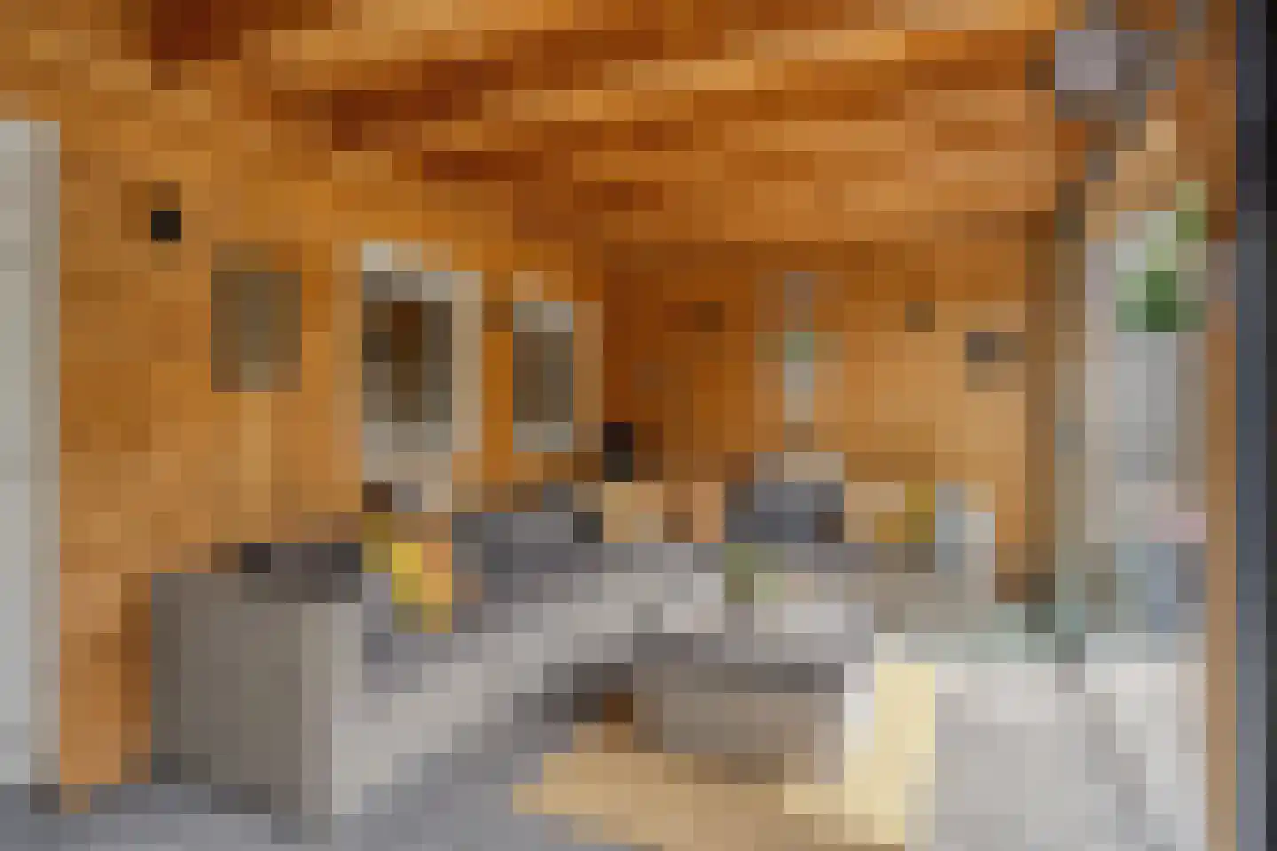 Meester Rijkenstraat 50 Veldhoven thumbnail 64