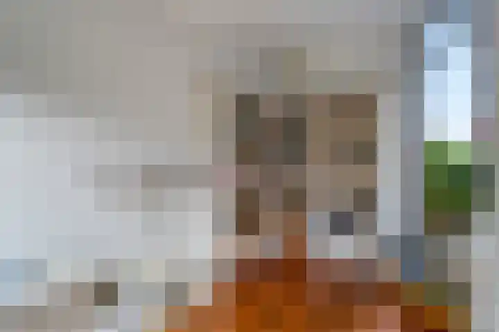 Meester Schaapstraat 12 Roden thumbnail 13