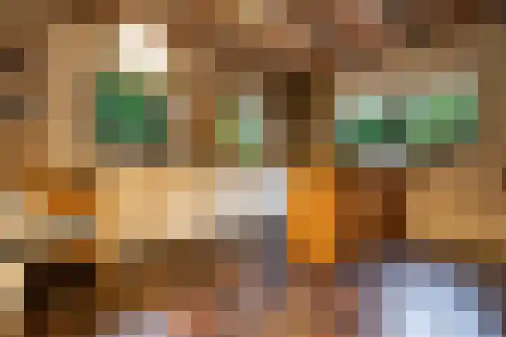 Meester Schaapstraat 12 Roden thumbnail 18