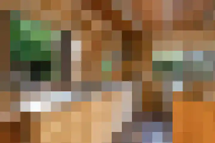 Meester Schaapstraat 12 Roden thumbnail 19
