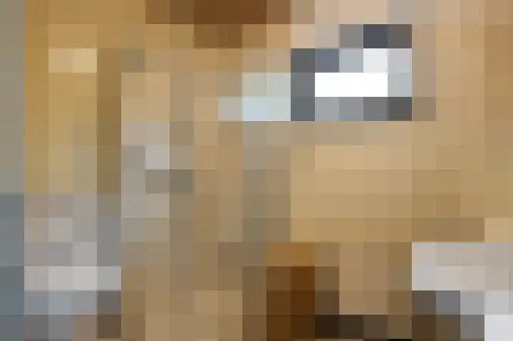 Meester Schaapstraat 12 Roden thumbnail 33