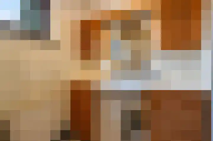Meester Schaapstraat 12 Roden thumbnail 34