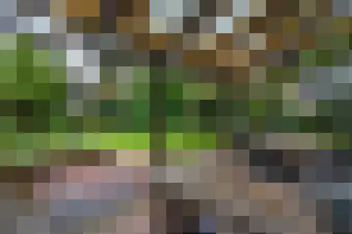 Meester Schaapstraat 12 Roden thumbnail 39