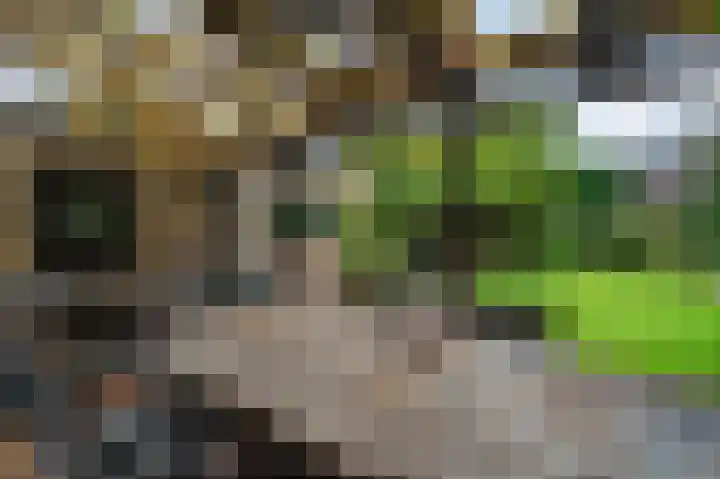 Meester Schaapstraat 12 Roden thumbnail 40