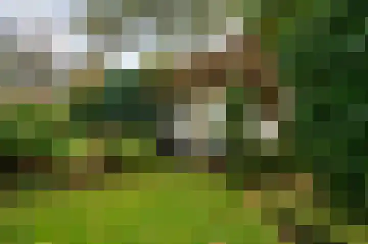 Meester Schaapstraat 12 Roden thumbnail 42